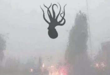 Дождь из креветок и осьминогов прошел в китайском городе (ВИДЕО)