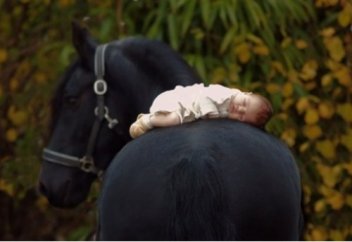 Кішкентай сәбиді тербеткен жылқы... Өте әсерлі (видео)