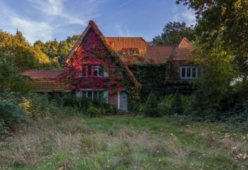 Представим, что люди исчезли с Земли. Вот хроника того, как изменится планета (видео)