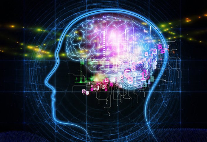 LiveScience (США): что мы узнали о мозге в 2019 году