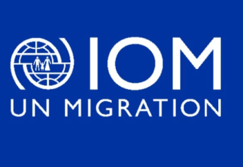 Отчет IOM раскрыл рекордную статистику глобальной миграции за 2024 год