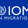 Отчет IOM раскрыл рекордную статистику глобальной миграции за 2024 год