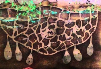 Ғалымдар құмырсқаның інін зерттеп көрді. Өз көзіме сенер емеспін!