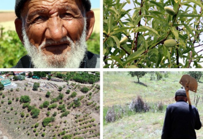 90-летний мусульманин посадил 40 тысяч деревьев