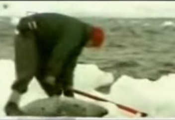 Кім кінəлі?! (Әсерлі бейнеролик)