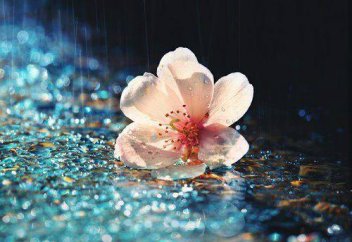 Дивертикулезге шалдыққан адам әр намазға дәрет ала ма?