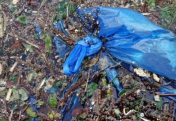 Пластикалық ластанумен күрес қалай жүргізіліп жатыр? – БҰҰ баяндамасы