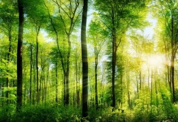 Как стать лучшим мусульманином? - Azan.kz - ISLAM CHANNEL