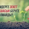 Кімдерге зекет ақшасын беруге болмайды?