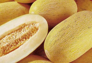 Қауын сан-алуан сырқатқа шипа