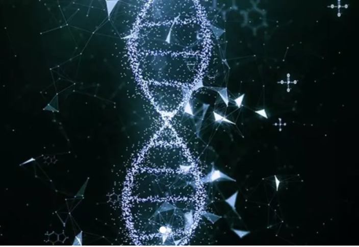 В Абу-Даби запускают новый сектор здравоохранения