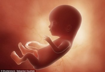 Пол младенца в Коране