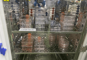 Разные: Житель Китая создал лабораторию, где синтезирует лекарство для смертельно больного сына