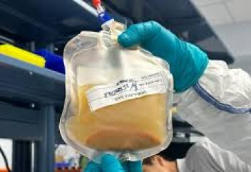 Дәрігерлер алғаш рет адам организімінде бауыр ағзасын тікелей өсіріп көрмек