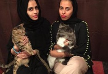 Кошачье кафе от саудиек