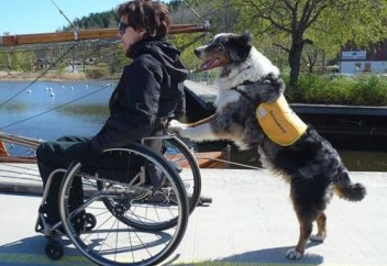 Мына адал иттердің қызметіне не дерсіз..?