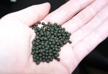 Казахстан: ПРОРЫВ ГОДА – запрет насвая!