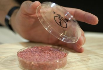 Жасанды ет төңірегіндегі талас-тартыс өршіп барады