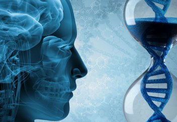 ДНҚ көмегімен ерте қартаюдан сақтайтын әдіс табылды