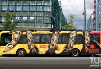 Рассказ  о  ловце  змей