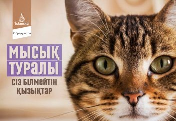 Мысық туралы сіз білмейтін қызықтар