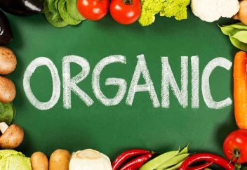 Органикалық жеміс-жидек пен көкөністің жаһандық өндірісі жылына 5%-ға артуда