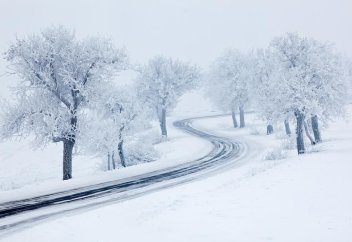 У снега есть запах: наука обьяснила, как это возможно
