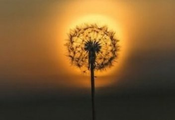 Имитация доброго отношения, или Как противостоять тем, кто хвалит, понижая вашу самооценку