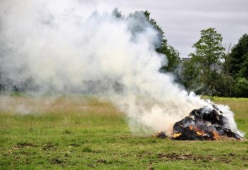 Жанған бір заттың түтінін жұтып, оны иіскесе ораза бұзыла ма?