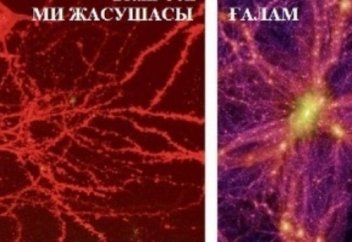 Біз өмір сүріп жатқан жасуша - ғалам деп аталады