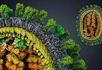 Миру грозит новая эпидемия с высокой смертностью – и это не COVID