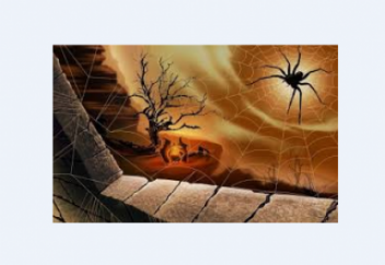 Что в Коране говорится о пауке?