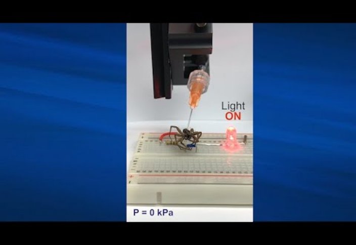 Өлген өрмекшіден робот жасалды (фото+видео)