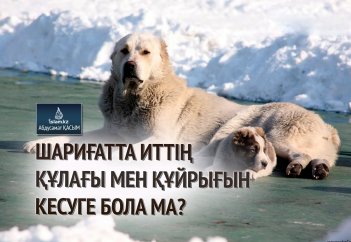 Шариғатта иттің құлағы мен құйрығын кесуге бола ма?