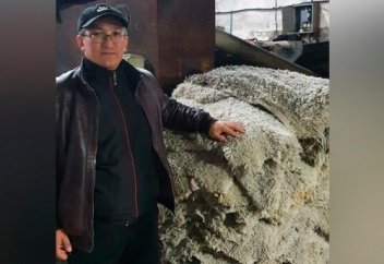 Былғары өндірушілер неге тері илеудің орнына зар илеп жүр – Қауымдастық төрағасымен сұхбат