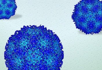 Вирустың судағы күйі (видео)