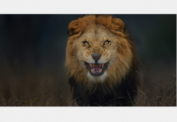 Арыстанның Әзірейілді көруі (видео)