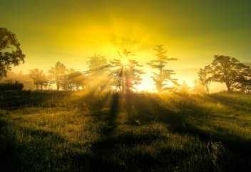 УМЕР ЛИ ИИСУС НА САМОМ ДЕЛЕ?