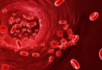 Адам жасушаларын басқа тіршілік түрлеріне енгізудің этикасы туралы жаңа ереже қабылданды