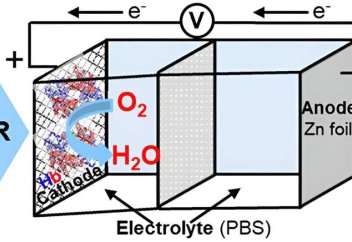 Гемоглобинмен жұмыс істейтін батарея жасалды