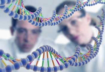 Ғалымдар адамзаттың Адам ата мен Хауа анадан тарағанына көз жеткізді