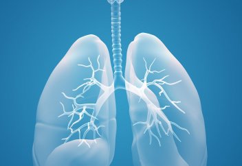 Как защитить легкие? (Видео)