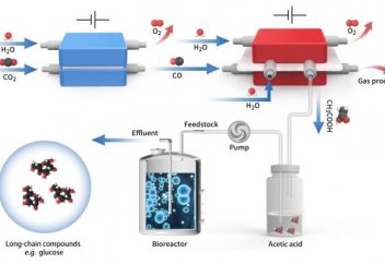 Парникті газды глюкозаға айналдыру жолы табылды
