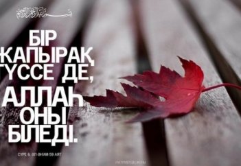 Аллаһтың ісіне кіріспеймін! Ол әрбір нәрсені хикметпен жаратқан... (ғибрат хикая)