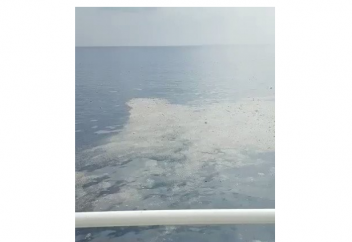 Опубликовано видео с места крушения самолета в Индонезии (Видео)