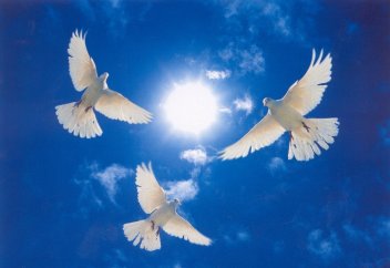 Үміттің жолында...