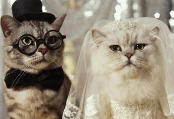 Ақтөбе облысында ауыл тұрғыны әкімнен әйел сұрап келді