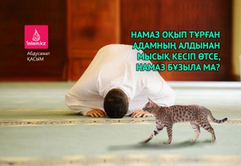 Намаз оқып тұрған адамның алдынан мысық кесіп өтсе, намаз бұзыла ма?