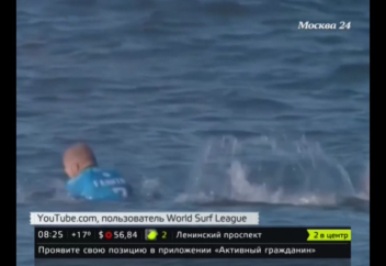 Акула тікелей эфир кезінде адамға шапты (видео)