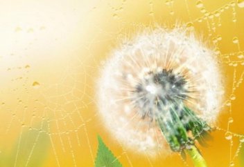 Они искренне верили в то, что делали | Ислам | As-Sunna.ru